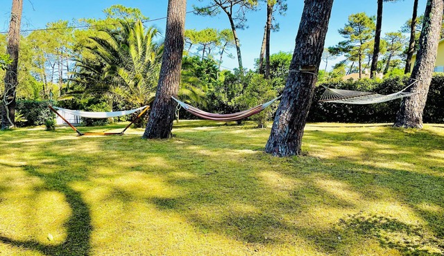 Villa Dune & Ocean 100 m from the beach