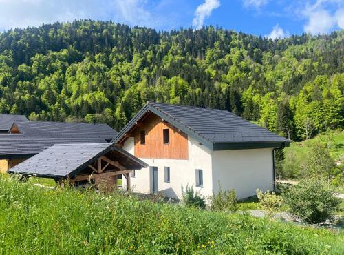 Villa en Bellevaux avec sauna et jacuzzi
