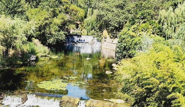 villa en pleine nature