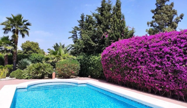 Villa with Private Pool in Alicante/BBQ/Fitnesscenter/Sauna