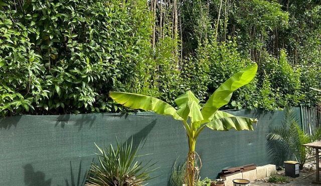 Villa F3 entre mer et Montpellier