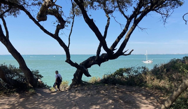 Villa Familiale Front de mer