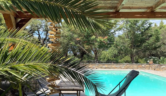 Villa Fiumicello, Saint Florent, Corsica, Private Pool, No Neighbors, Holidays