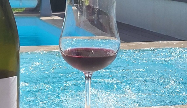 Villa Piscine view