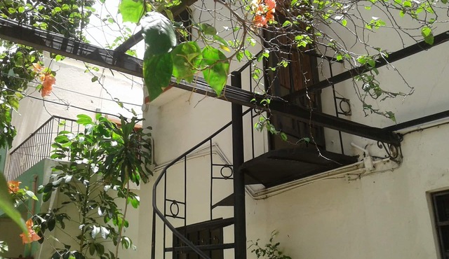 Villa Gascue Guest Apartments