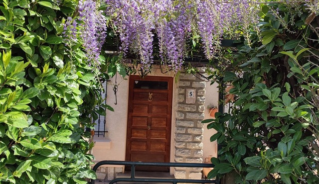 Villa glycines spacious 2 bedrooms close to town center enclosed garden dogs ok