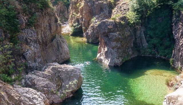 Villa Haut de Gamme 6/8 p, 3 ch, 3 Sdb, Piscine Privée, Jardin Arboré Clos