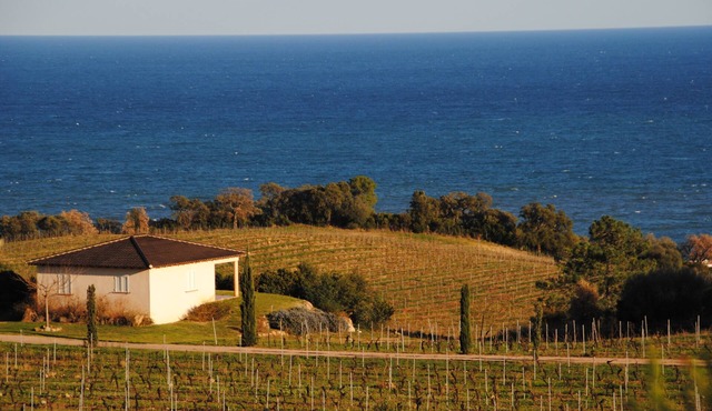 villa high standing in the vines agri-tourism
