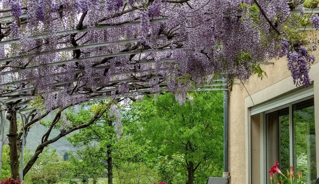 villa in Cévennes near Le Vigan accessible for disabled people