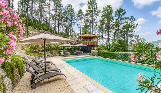 Villa in Le Muy with Private Pool & Forest