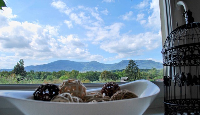 Villa in Obernai - 7 people, 2200m² garden, ideal for families and friends