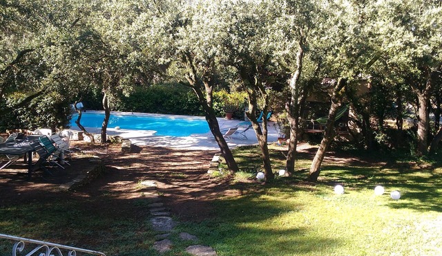 Villa in the heart of the pine forest - Isle sur la Sorgue - close to the Golf