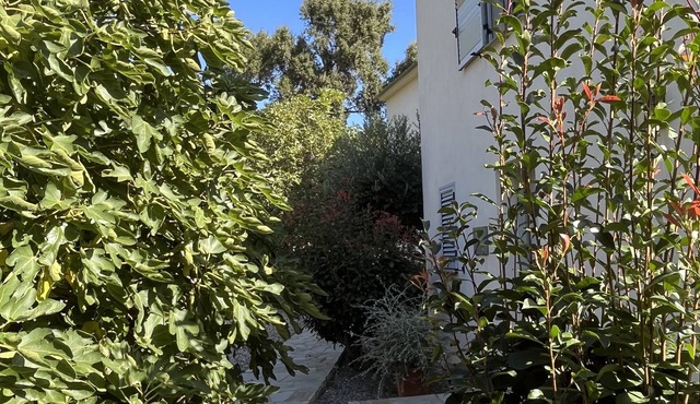 Villa in the heart of Erbalunga perfect for your holidays!