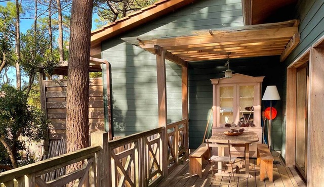 Villa in the pine forest in the dune belt