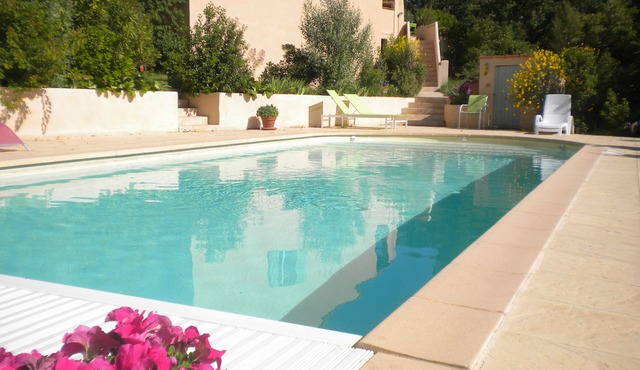 Villa in the quiet of a large pine forest