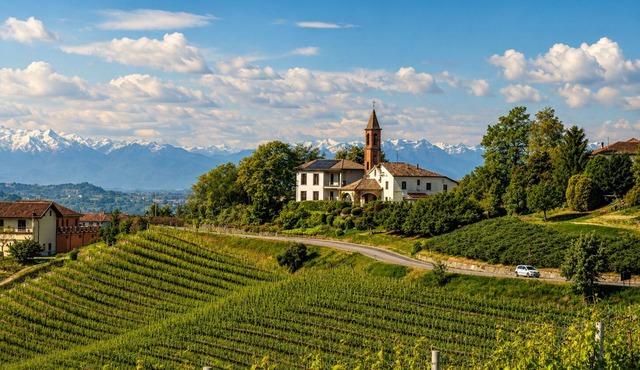 Villa Irene Langhe - Green Suite, First Floor - View of the Monforte and Novello Vineyards in Piemonte