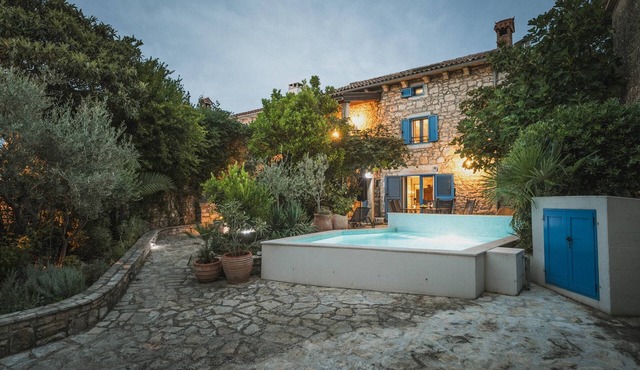 Villa Istrian garden (100271-K1) - Porec