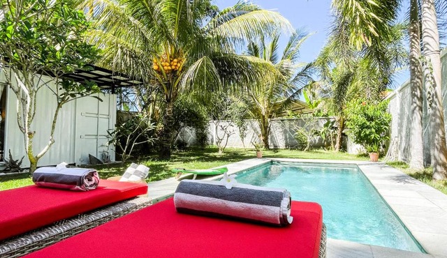 Villa KOTAK Surfers Escape Reopening Rates apply now