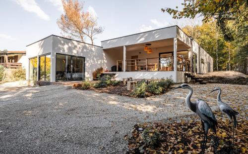 Villa L'EDEN 5 suites jacuzzi pour 10 pers à l'étang du stock Langatte