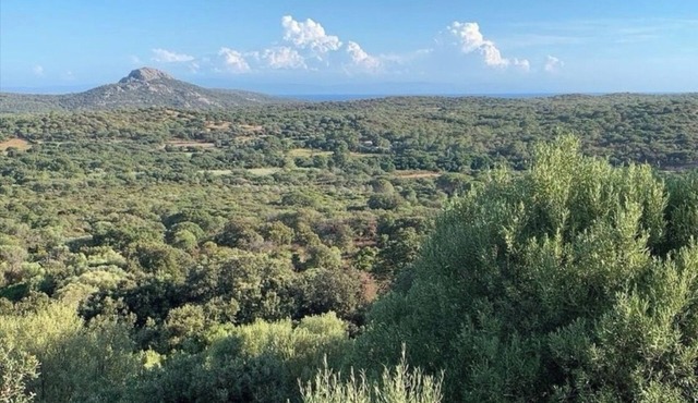 Villa L'Ortu Corse du Sud 8 people
