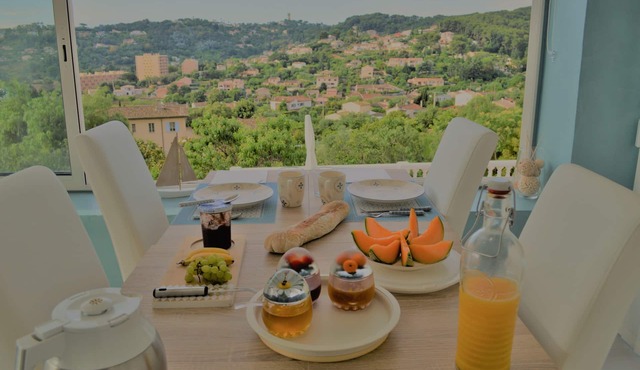 Villa La Terre Des Lauriers B&B