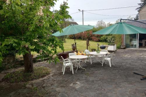 Villa le Roche du Ris - 10-12 personnes