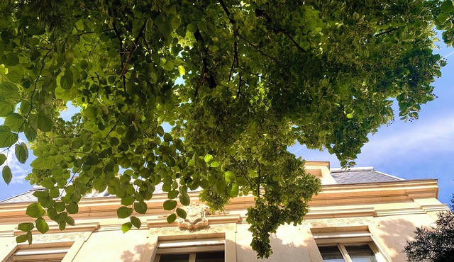 Villa Lepois & Spa 5 *