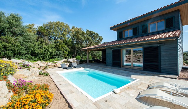 Villa 'Les Oliviers' with private pool closed to beach and mountain