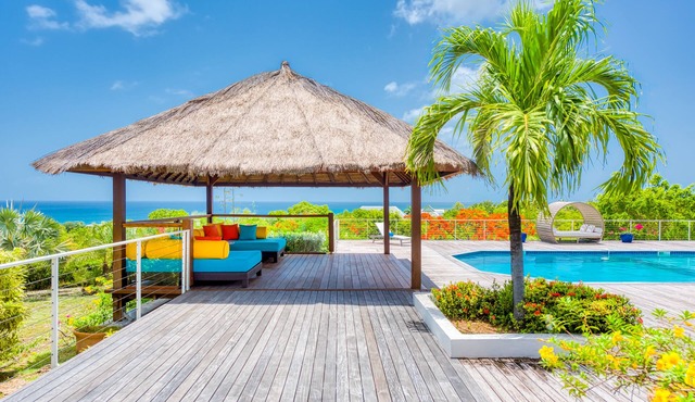 Villa Lotus Summary: