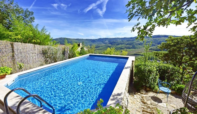 Villa Luna house whit the pool in heart of Motovun