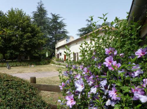 Villa Luxe avec Spa, Piscine Chauffée & Salle de Sport à Beauville