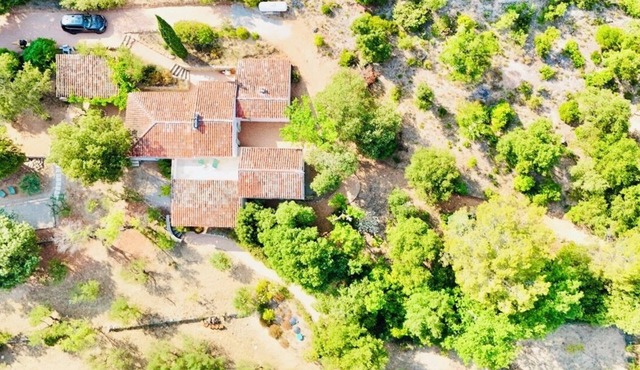 Villa Maillard - Swimming pool & vineyard view