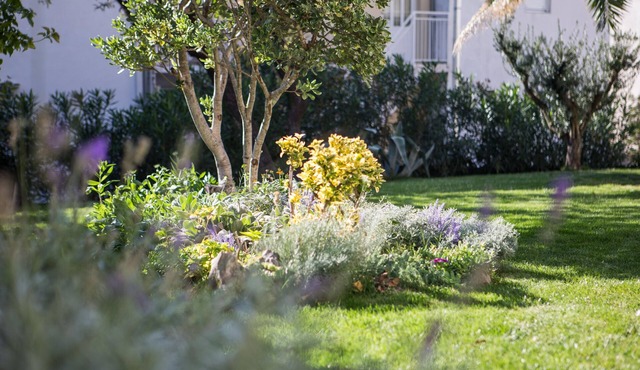 VILLA Markota, BEAUTIFUL PLACE FOR FAMILY EXPIRIENCE , up to 8 person
