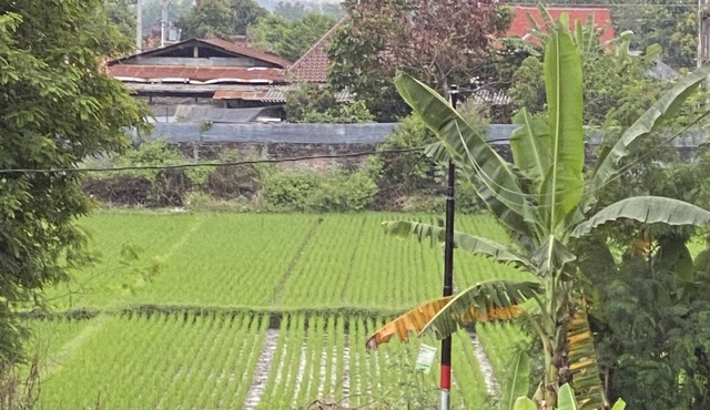 VILLA MIKE PENTHOUSE