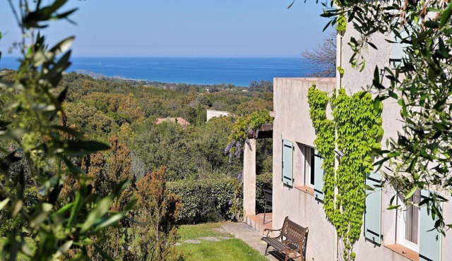 Villa mit Meerblick U Castagnu in geschützter Natur by Interhome