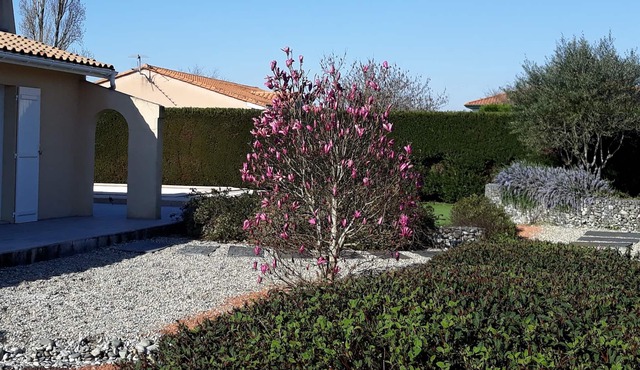 Villa near Bordeaux in the heart of the Gds Châteaux