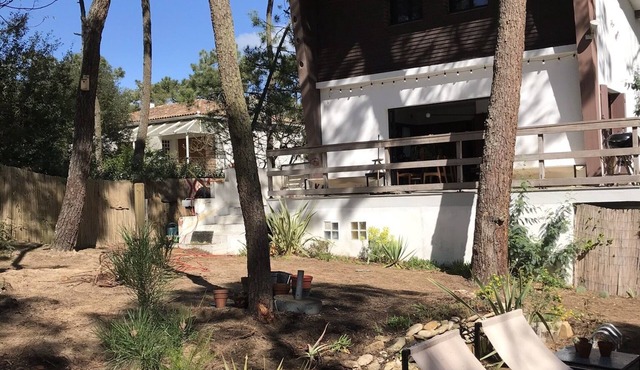 Villa of the 60s under the pines