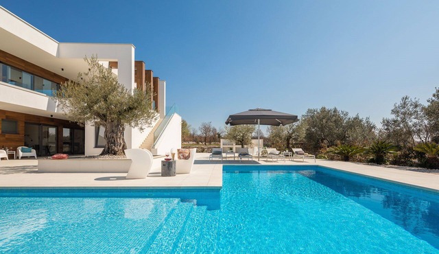 Villa Old Olive Ottava with Pool