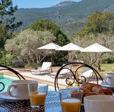 Villa Olivella - 5 ch - Piscine - 5' Saint Cyprien