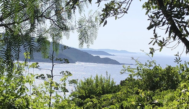 Villa on an island paradise. Location/rental/Miete villa Ile du Levant