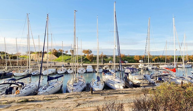 Villa overlooking the port with its courtyard