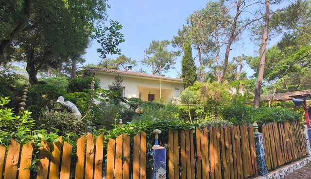 Villa Papy, Ronce les bains