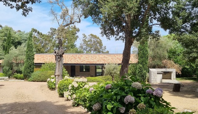 Villa Pieds Dans L'eau Porto Vecchio