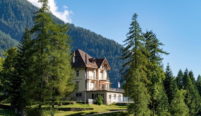 Villa Pineta