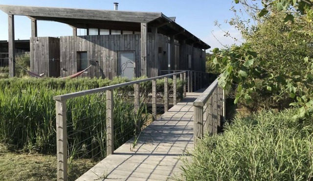 Villa Ponton n°1 - La Ferme du Marais Girard