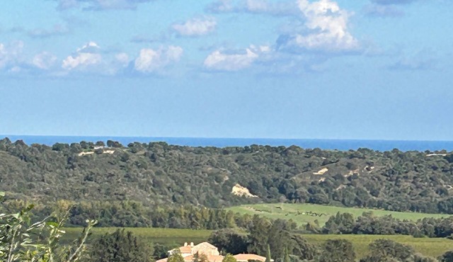 Villa, pool, fitness room on a vineyard 10 minutes from the sea