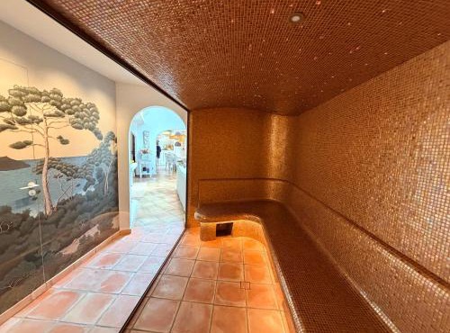 Villa provençale, Golfe Saint Tropez, Climatisée 12 pers, 4 suites, Piscine chauffée, Hammam, Spa, Billard, Pétanque, Wifi professionnel haut débit