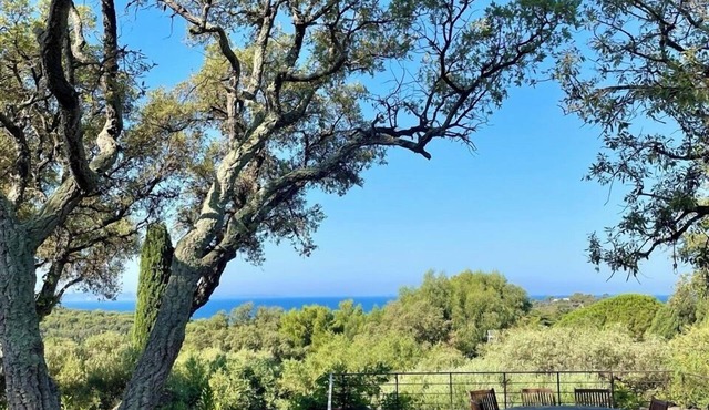 Villa Provençale near beaches, Villa Provençale