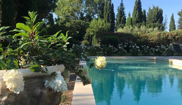 Villa/Provencal Mas with heated pool and beautiful private gardens.