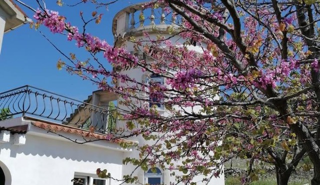 Villa Rapunzel